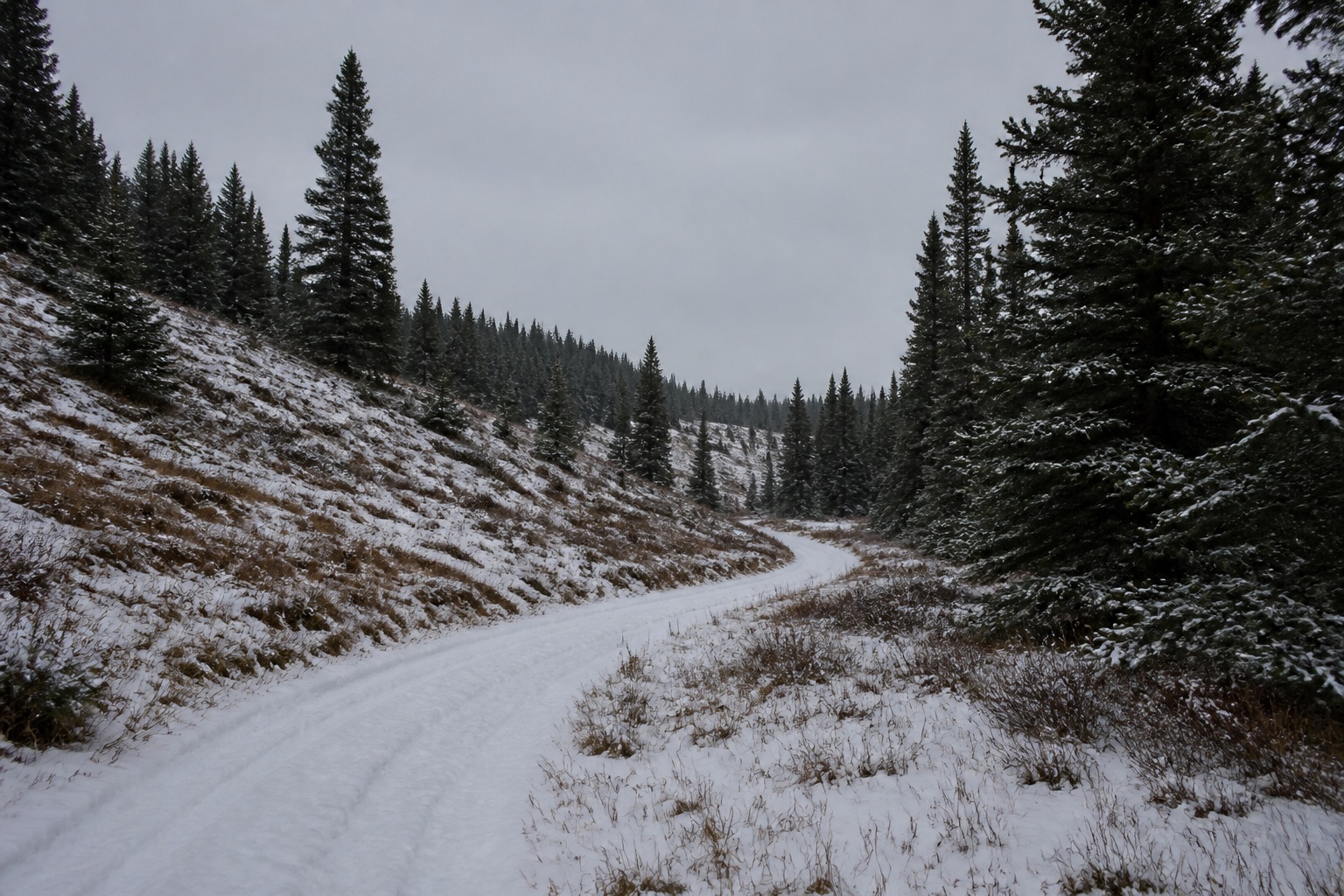 Thinner snow on a mixed forest drainage, lower road only