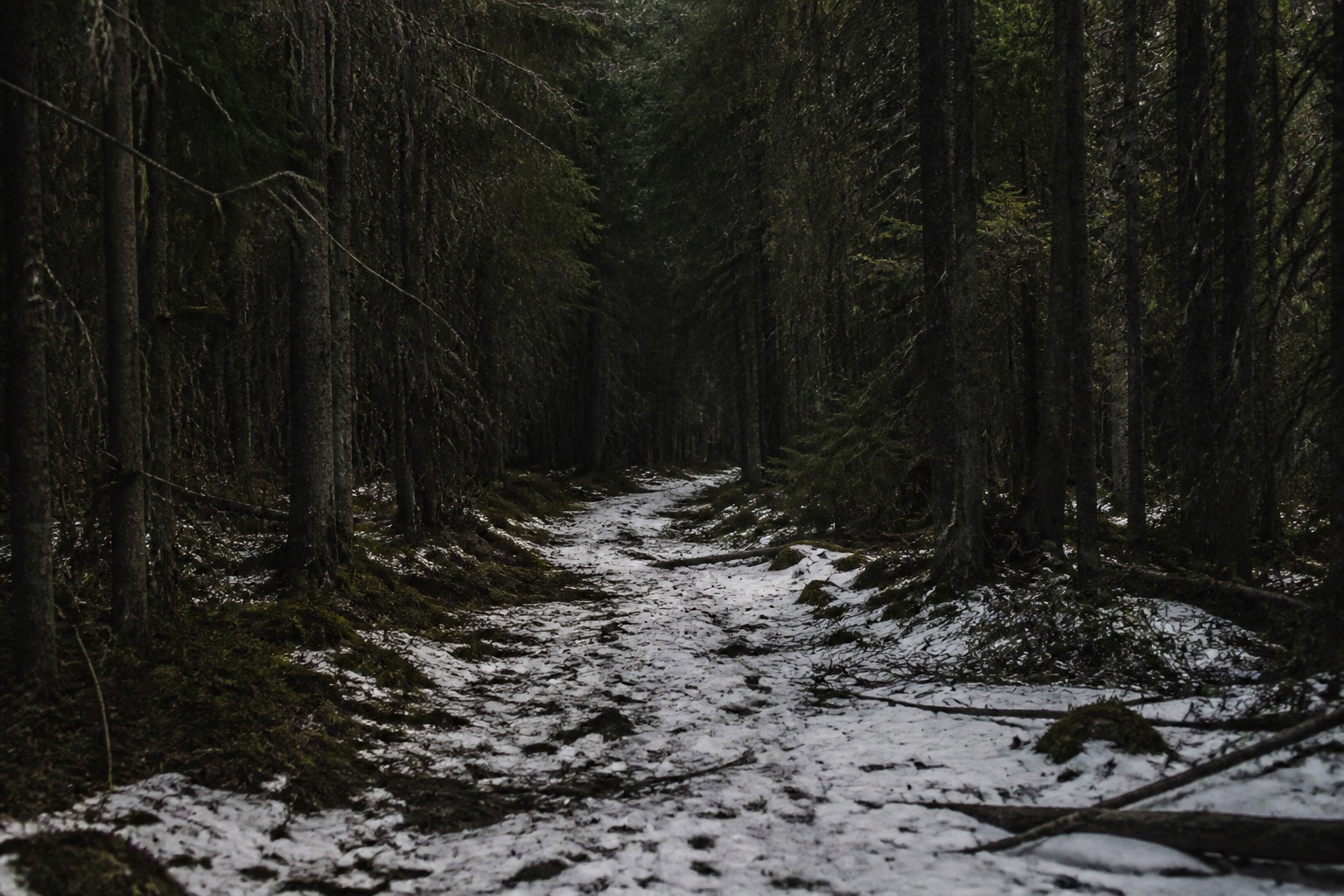 Dark ungroomed forest road with thin snow, no access