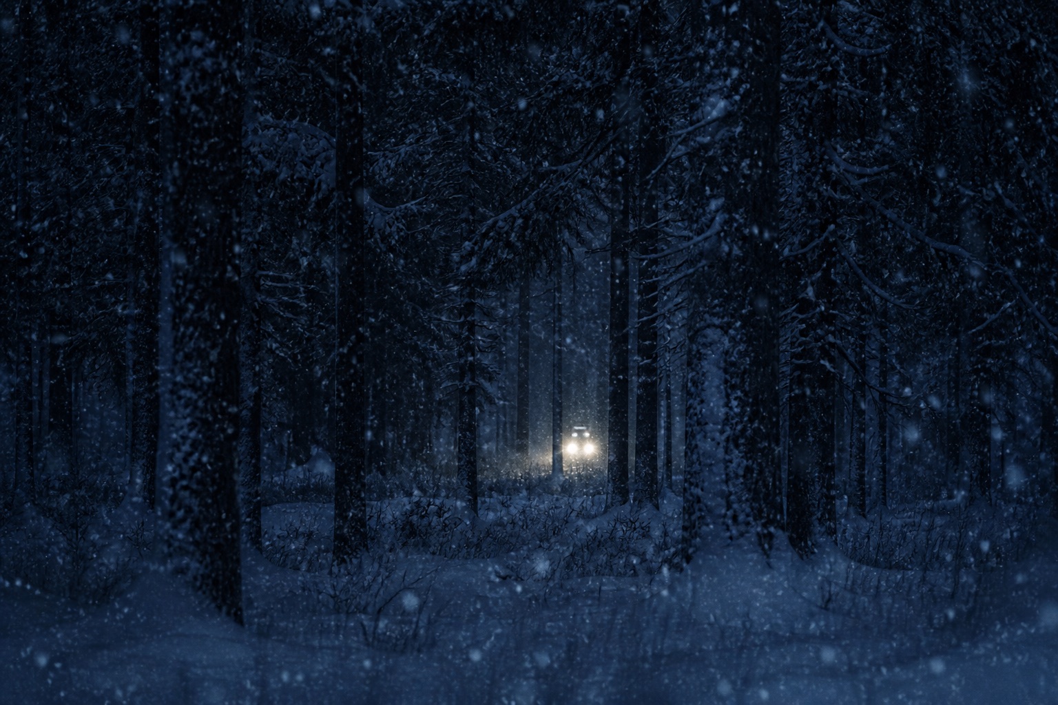 Snow falling through a dark spruce forest at dusk, headlights in the trees